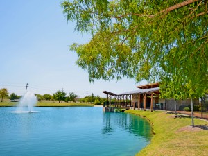 DSC_3979_amenity center fountain